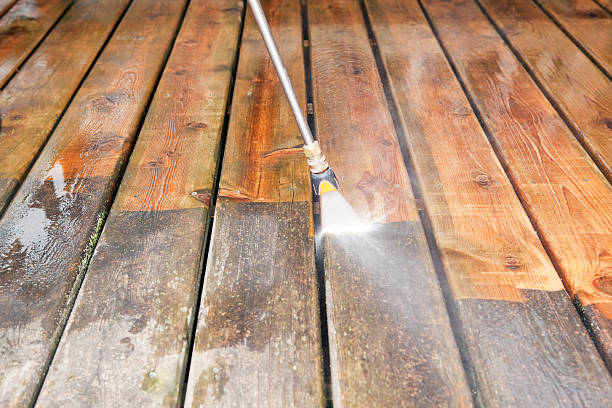 Animal Enclosure Cleaning in Harpersville, AL